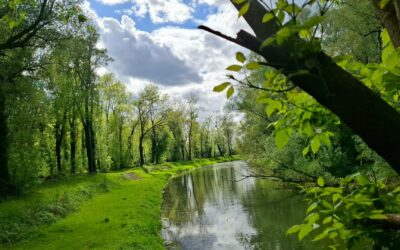 Vedrana Vranić- srebro na Eko-fotki